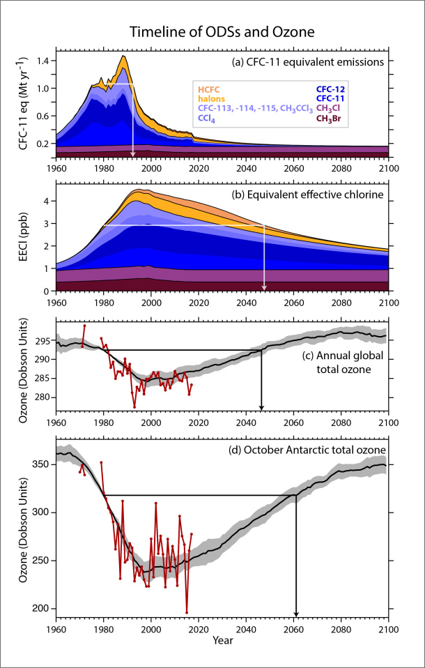 Abb. 1, (Figure ES-1 aus WMO, 2019): Zeitliche Entwicklung von: (a) CFC-11 äquivalenten Emissionen, (b) äquivalentem effektivem stratosphärischen Ozon (EESC), (c) globalem Totalozon und (d) antarktischem Totalozon. Historische Emissionen wurden aus gemessenen atmosphärischen Konzentrationen individueller Ozon zerstörender Substanzen (ODSs) bestimmt. Die Zukunftsprojektionen gehen von einer vollständigen Befolgung des Montrealer Protokolls aus. Die jährlichen Mengen an EESC, gezeigt für die antarktische Stratosphäre, basieren auf der Menge chlor- und bromhaltiger Substanzen an der Erdoberfläche (b). Globales Totalozon repräsentiert das Mittel von 60°N bis 60°S geogr. Breite (c) und antarktisches Totalozon das Mittel von 60°S bis 80°S (d). Die Abbildungen (c) und (d) beinhalten einen Vergleich mit Klima-Chemiemodellergebnissen (schwarze Linien mit grauer Schattierung für Unsicherheitsbereiche) und verfügbare Beobachtungen (Datenpunkte). Die Modellprojektionen für die Zukunft setzen eine Befolgung des Montrealer Protokolls und eine Zunahme der Treibhausgaskonzentrationen nach dem RCP-6.0 Szenario voraus. Die Linien mit Pfeilen geben an, wann CFC-11 äquivalente Emissionen (a), EESC (b) und die Ozonmenge (c und d) voraussichtlich wieder ihre Werte von 1980 erreichen. (nach WMO, 2018)