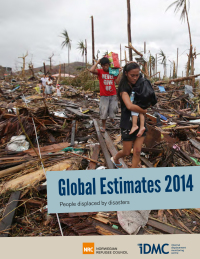 Bild Global Estimates 2014
